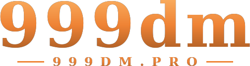 999dm logo